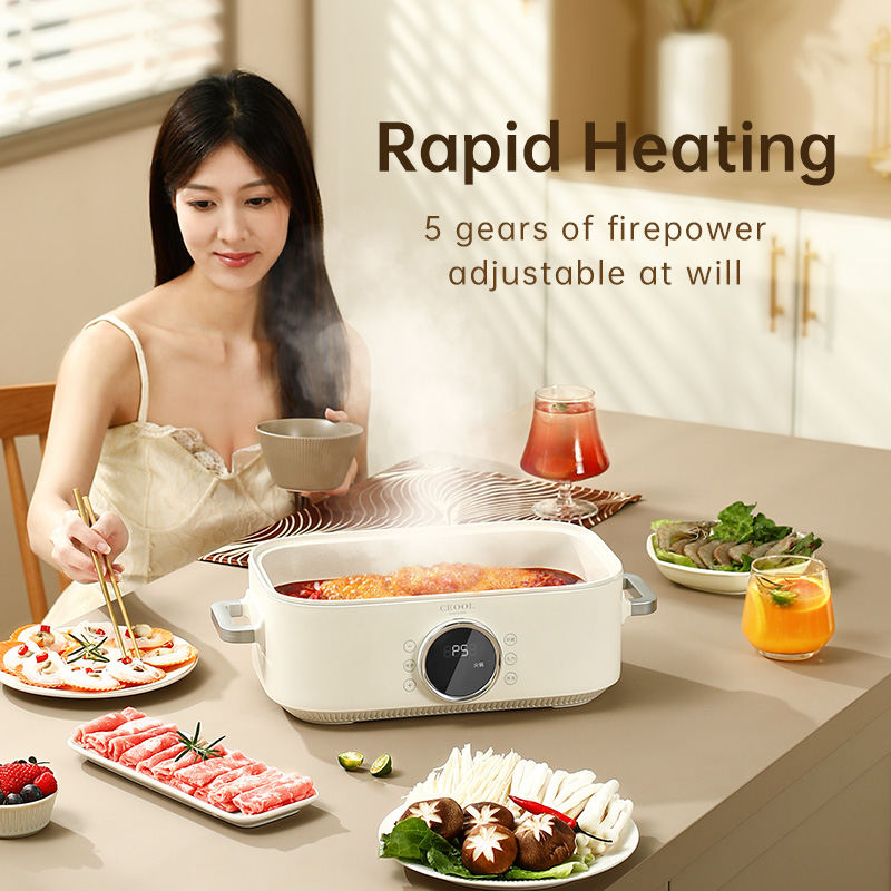 Vaporizador elétrico de alimen - Home Cooking Electric avaliação e preço